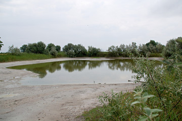 Landscape shot in the national park Neusiedler See in Illmitz Burgenland