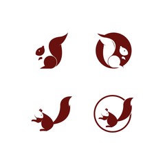 squirrel logo vector icon illustration design