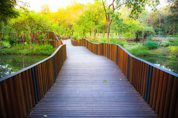 Fototapeta na wymiar morning sun light Nature in the garden with bridge walk for exercise.