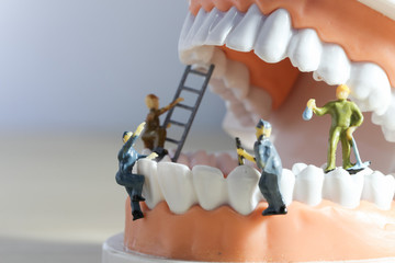 Miniature people or small figure worker cleaning tooth model as medical and healthcare concept....