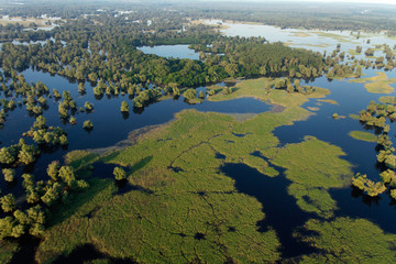 Flood in Kopacki rit Nature Park, Croatia