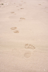 Adult foot print on sand and beach near sea water. Foot mark stepped on sea shore with sof sand