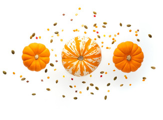 Flying pumpkin isolated on white background. Thanksgiving traditional bright orange pumpkin.