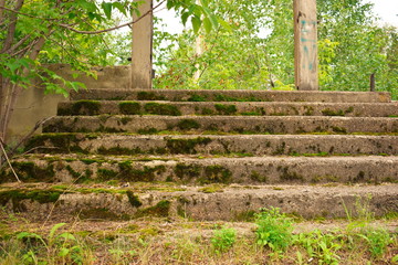 Fototapeta na wymiar Old concrete steps overgrown with green moss.