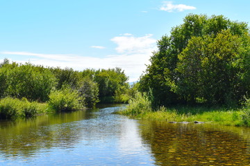 Fototapeta na wymiar Idyllic water landscape with forest.