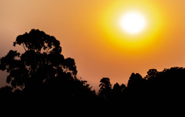 The colors of a tropical late afternoon 01