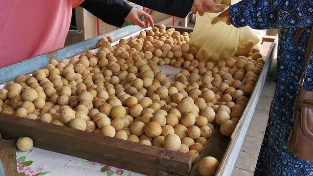 Two Muslim women in a local fruit stall selling 'duku'(Lansium domesticum), an exotic fruit in South East Asia.