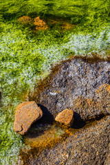Granite pink boulders and green algae on the coast near Plumanakh..  Pink Granite Beach is a unique place in Brittany. France
