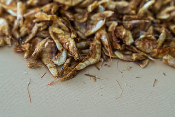 Pile of Dried Crayfish on brown background