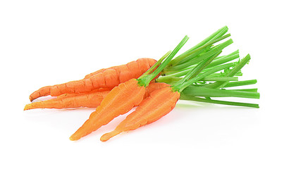 carrot