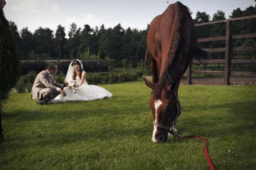Fotobehang the bride and groom stroking a brown horse © aaalll3110