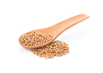 Coriander seeds