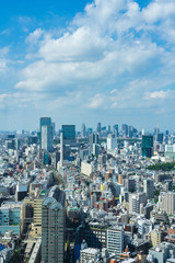 Fototapeta premium 東京風景