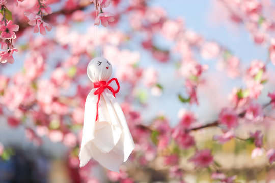 Rain doll, white cloth japanese doll hanged under pink flower tree or Sakura. Teru teru bouzu is the name in japanese of rain doll for anti rain