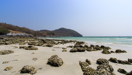 Shells embedded in rocks on the beach, mountains and sky background images
