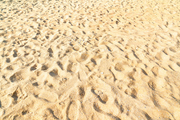 Sand tropical beach with golden sand during summer vacation. 