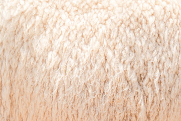 Natural fiber thermal fur wool texture background from sheep with white bright color tone. Backdrop for design art work or text message.