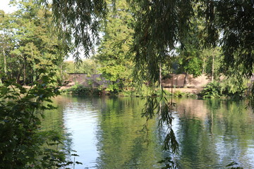 Fototapeta na wymiar Lac du Parc de la Tête d'Or à Lyon - France
