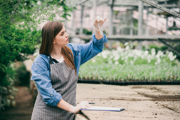 Female agricultural engineer working in greenhouse