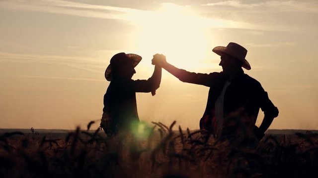 eam work. Two farmers stand at sunset in a wheat field, and discuss the new crop.. Farmers use new technologies in agriculture. Growing organic products.
