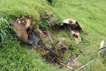 Autowrack am Wegesrand (Krater von Sete Cidades, Sao Miguel, Azoren, Portugal)