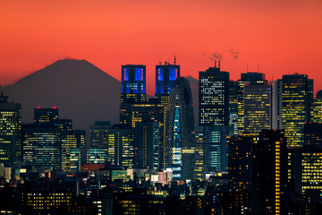 Fototapeta na wymiar Tokyo city view and Mountain Fuji in Japan. Tokyo cityscape twilight.