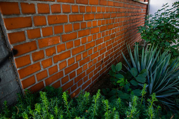 Brick wall. Brick background.