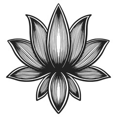 Fototapeta premium Filigree lotus flower, black vector, hand drawn
