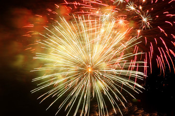 Colorful fireworks on the black sky background display for celebrations