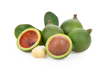 macadamia nut  on a white background