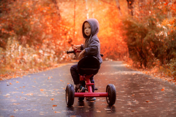 A little boy of three, in an autumn Park with a red three-wheeled Bicycle