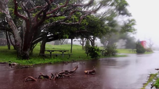 台風で吹き荒れる公園の風景