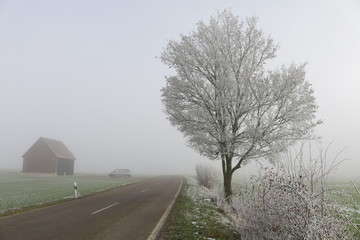 Landschaft mit Raureif