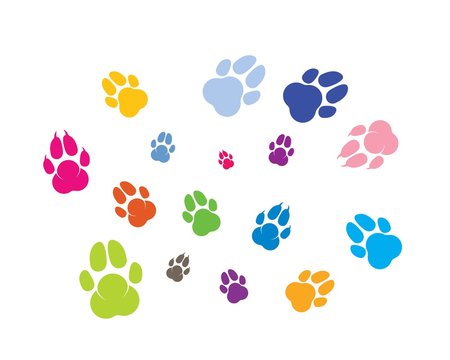 paw logo icon of pet vector