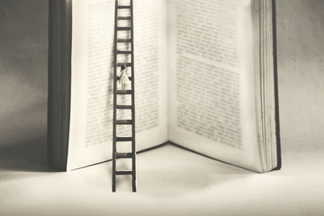 little woman tries to reach the summit of knowledge by climbing a gigantic book