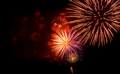 Colorful fireworks on the black sky background display for celebrations