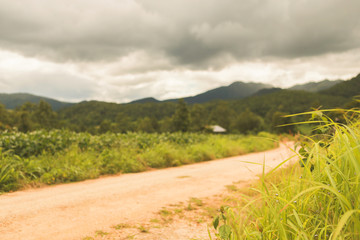 The road passing through the meadow has beautiful mountain views.