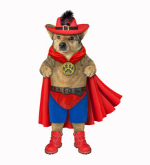 The dog hero dressed in a red cloak, a hat with a feather and a metal belt. White background....