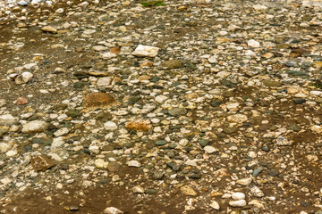 Detail of surface texture with small pebble rock on dirty ground