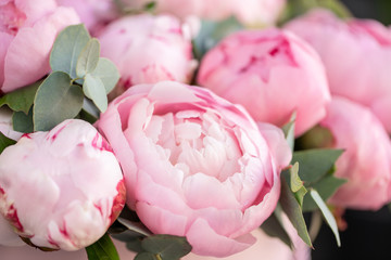 Close-up of flowers Pink peonies . Beautiful peony flower for catalog or online store. Floral shop concept . Beautiful fresh cut bouquet. Flowers delivery © malkovkosta