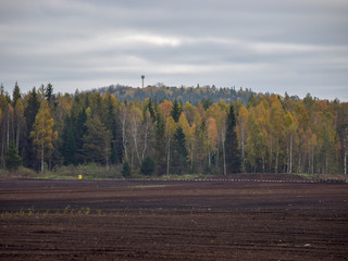 autumn landscape with peat bog Zilaiskalns, Latvia