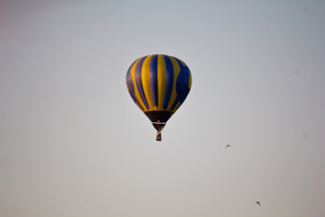 Fototapeta premium Hot Air Balloon in the sky