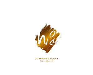 NS Initial letter logo template vector
