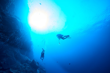 Obraz na płótnie Canvas scuba diving