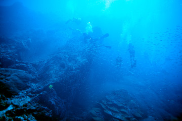 Naklejka na ściany i meble scuba diving