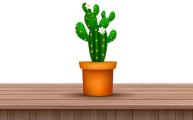 cactus in the pot on the wooden table