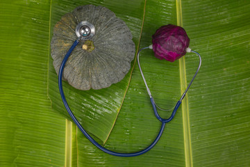 World Food Day Concept, Purple Cauliflower, Pumpkin and Medical Devices On a green banana leaf.