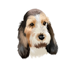 Grand Basset Griffon Vendeen or GBGV short legged hound type French dog breed digital art illustration isolated on white background. Cute pet hand drawn portrait. Graphic clip art design.
