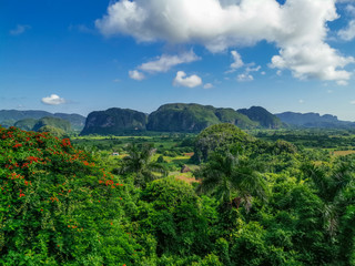 Landscape in Viñales, Pinar del Rio, Cuba