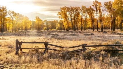 Fleecedeken met foto Herfst Een herfstlandschapsscène in Jackson Hole, Wyoming, inclusief een oude stijl buck and rail houten ranch hek en backlit cottonwood bomen.  © Cheryl Ramalho